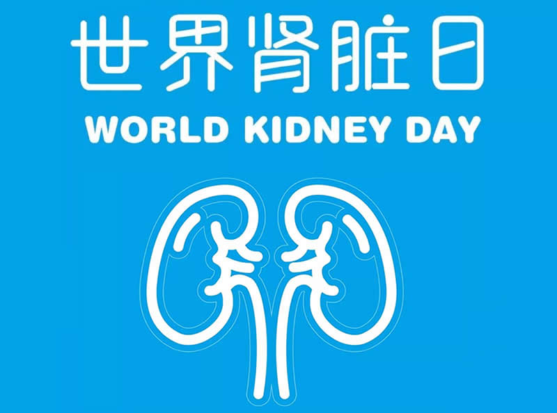 【世界肾脏日】佰骏行动，维护肾康