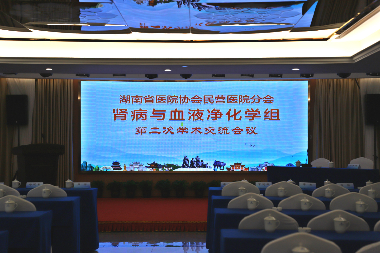 湖南省医院协会民营医院分会肾病与血液净化学组第二次学术交流会议在衡阳顺利召开